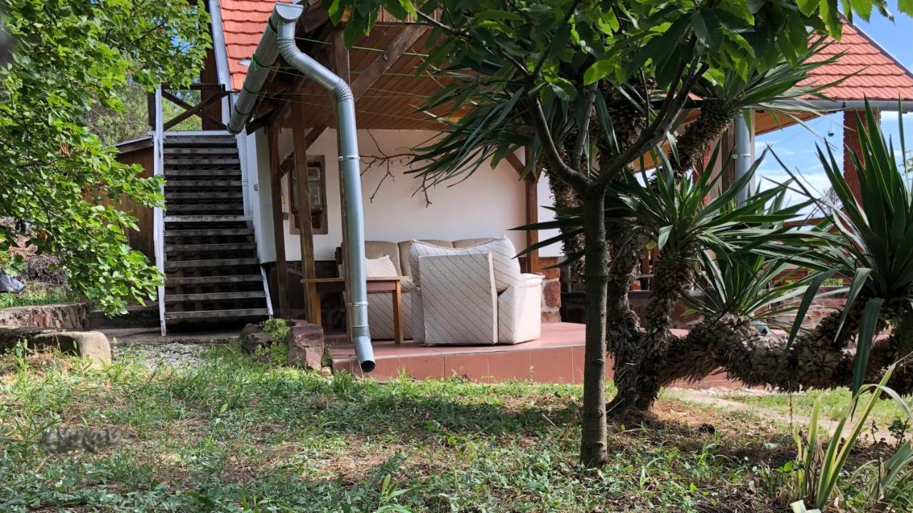 Szoloskert Studio Apartman Ábrahámhegy Exterior foto